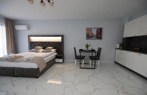 Katowice Apartamenty Hetmańska 4 - Foto 42