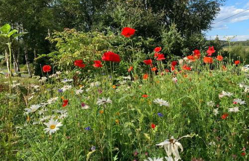 UplandParcs Haus Bergsicht - Photo 40