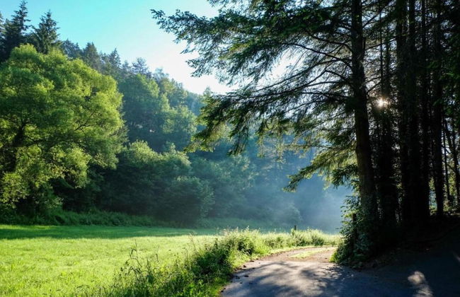Chalet in Germany With Fireplace & Terrace - Photo 35