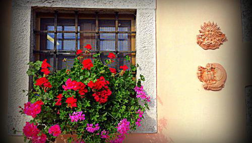 Agriturismo Borgovecchio - Foto 5