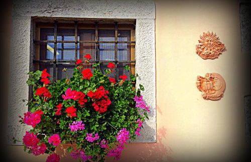 Agriturismo Borgovecchio - Foto 5