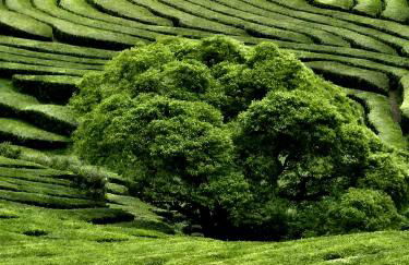 Quinta da Espadana - Photo 77