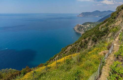 Orizzonte Damare - Foto 33