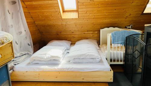 VillaHarmony wartet auf Familien mit Hund! - Foto 3