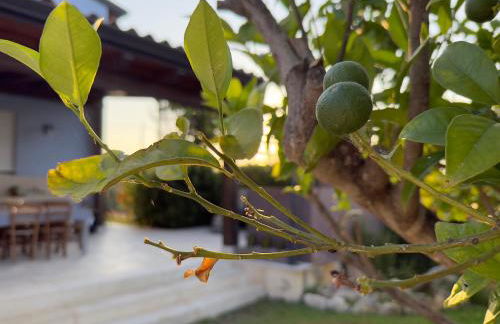 Casa Azzurra - Foto 29