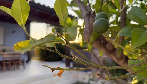 Casa Azzurra - Foto 1, Garden view