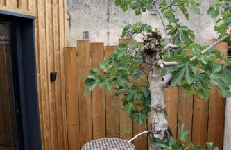 Cab-Appart Mont de Marsan - Foto 41