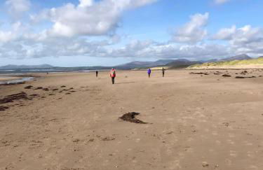 Snowdonia Mawddach escape - Foto 62
