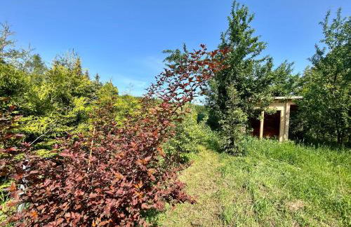 Haus 8 am Grimnitzsee mit Sauna - Photo 20