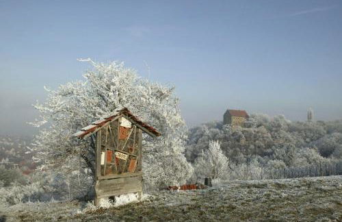 Villa in Seenahe Badesee Ehmetsklinge - Foto 50