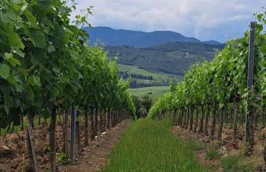 Appartamento Puccini - Zona Firenze - Foto 8