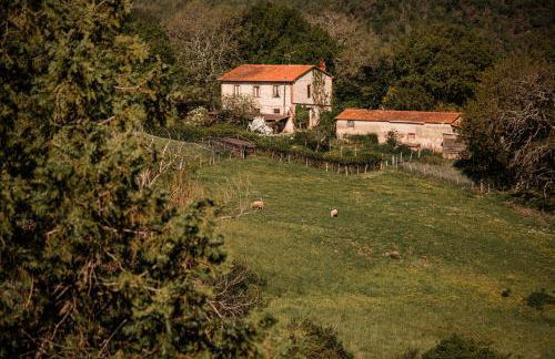 Chiantissima, Tuscany - Foto 40