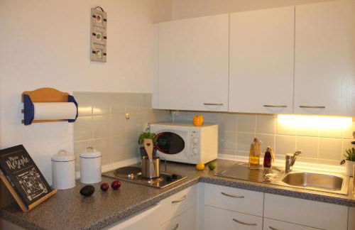 Landhaus Lippmann Whg4 - Foto 7