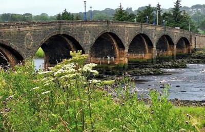Moray View, Macduff, Aberdeenshire. - Foto 2