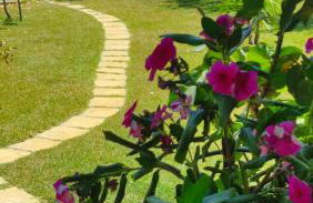 Agios Mamas beach house - Foto 35