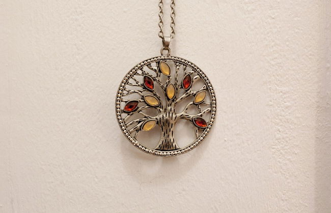 BnButler - Pellegrino Rossi 42 - Foto 11