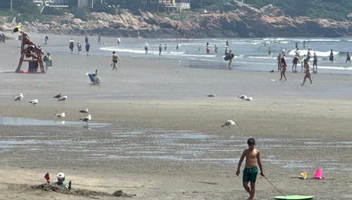 Ocean Breeze-8min Walk to Beach - Foto 4