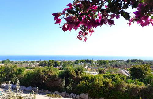 Korés House - Foto 23