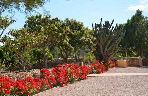 Finca Son Blat - Photo 48