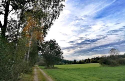Wohnung in Sonnen nahe Skiliften - Foto 38