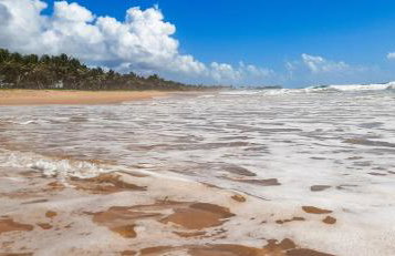 Chalé Beira-Mar com Piscina Privativa e Varanda em Barra do Jacuípe - Foto 62
