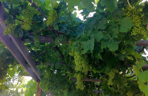 Mini Villas Green - Foto 38