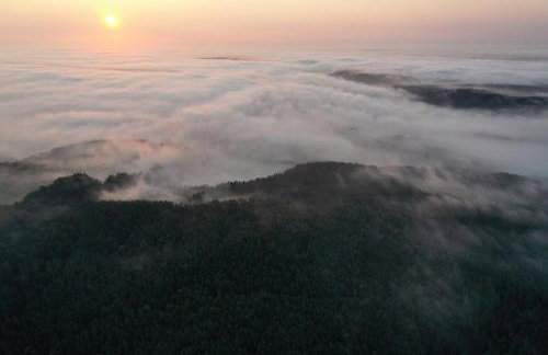Wigierski Park Narodowy - Foto 29