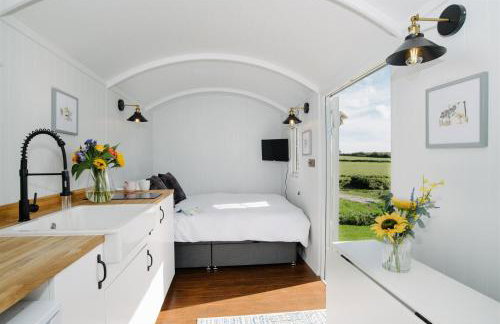 Shepherds Hut at Chenhall Farm - Photo 13