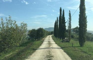 Agriturismo Serena -Petritoli- - Foto 34