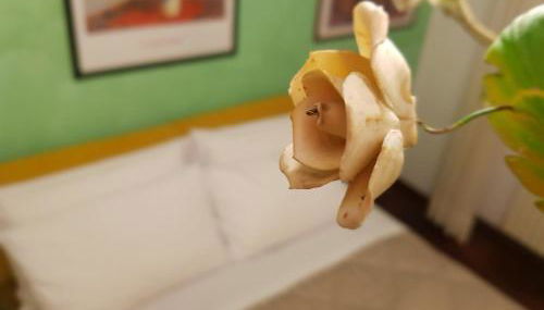 Moncalvo in Relax - Foto 5