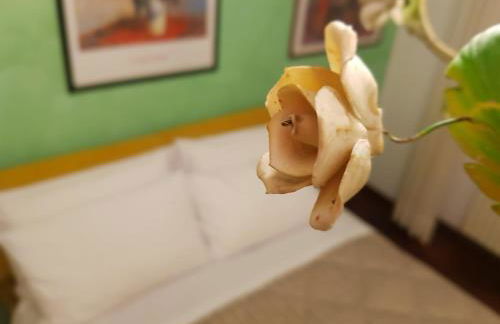 Moncalvo in Relax - Foto 5