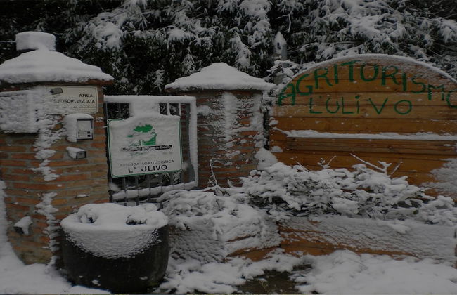 Agriturismo L' Ulivo - Foto 24