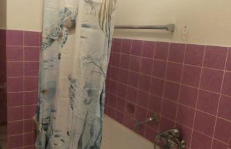 Weisses Huhn von Moschendorf - Photo 21