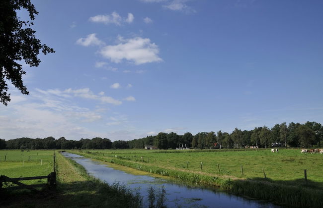 Holiday Home in Heeten Near Forest - Foto 29