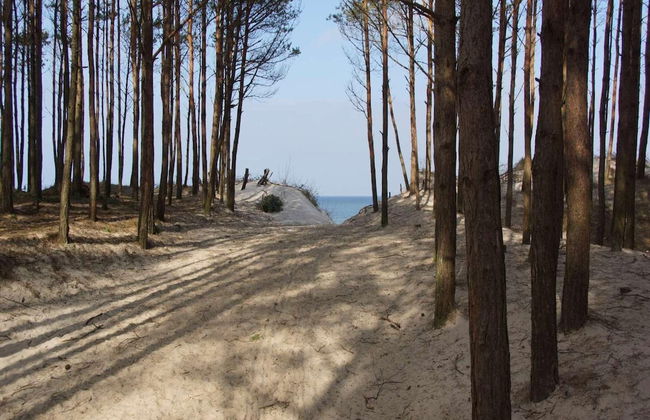 Comfortable Holiday Homes With air Conditioning - Foto 19