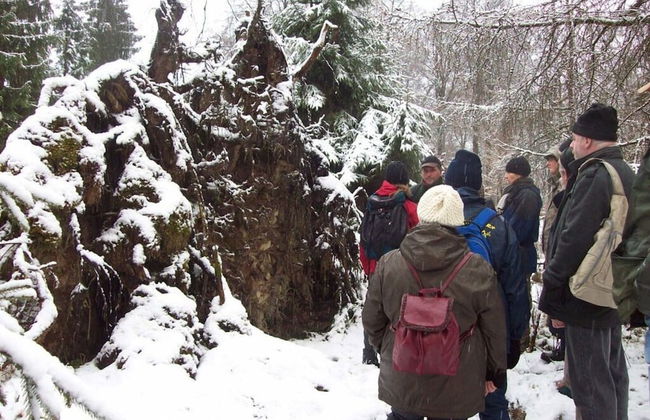 Breitenbach Modern Retreat - Foto 13