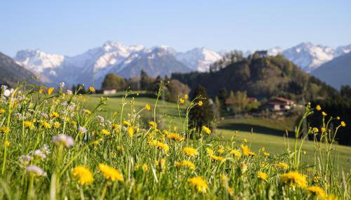 Ferienwohnung Socher "Am Wold" - Foto 5