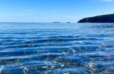 The Cwtch - a self contained one bedroom annex - Foto 27