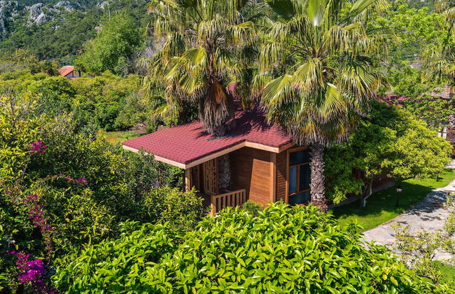 Naturelife Bungalows & Spa - Foto 48