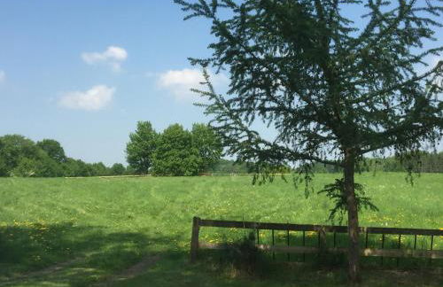 Ländliches HideAway zwischen Hamburg und Lübeck - Foto 27