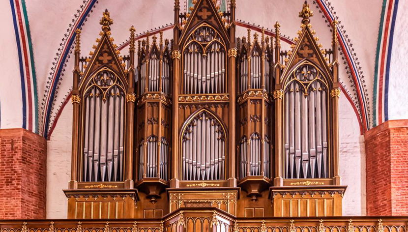 Greifswald Private Walking Tour - Photo 2