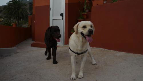 Casa Camilo - Foto 4