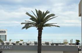 Romance Marine , face à la mer - Foto 24