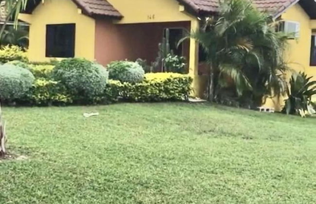 Hartland Sunshine - Foto 46