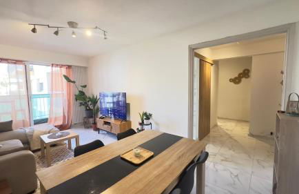 Grand 2 pièces avec grande terrasse à 15mn Centre-ville, Gare et Promenade des Anglais - Foto 13