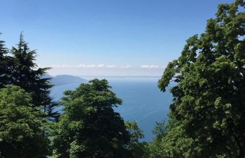 Verdeulivo Relax Home - Ruculì Hospitality - Foto 78