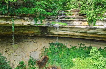 Pole Barn - Rustic 1BR Family Retreat with Open Views - Foto 68