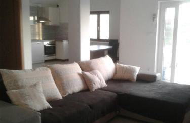 Dalmatian - Photo 14