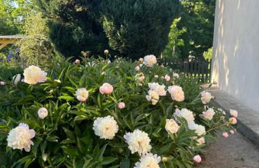 Studio indépendant Lisieux - Photo 10