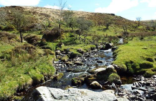 Stunning location in the centre of Exmoor - Foto 21